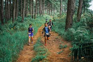 BIB: 
                            <button type="button" onclick="openModal(25653115)" class="btn btn-primary btn-sm float-right btn-popup" data-toggle="modal" data-target=".modal-high-quality">
                        <i class="fas fa-shopping-cart"></i> Add to Cart
                    </button>
                                            <button type="button" onclick="isThisMe(25653115, true)" class="btn btn-success btn-sm float-right btn-popup btn-isme hidden" data-toggle="tooltip" data-placement="bottom" title="นี่คือรูปของคุณใช่ไหม คลิกที่นี่เพื่อเอาเข้าอัลบั้ม">
                        <i class="fas fa-plus"></i> Add to album
                    </button>
                    <button type="button" onclick="isThisMe(25653115, false)" class="btn btn-warning btn-sm float-right btn-popup btn-isnotme hidden">
                        <i class="fas fa-ban"></i> Remove from album
                    </button>